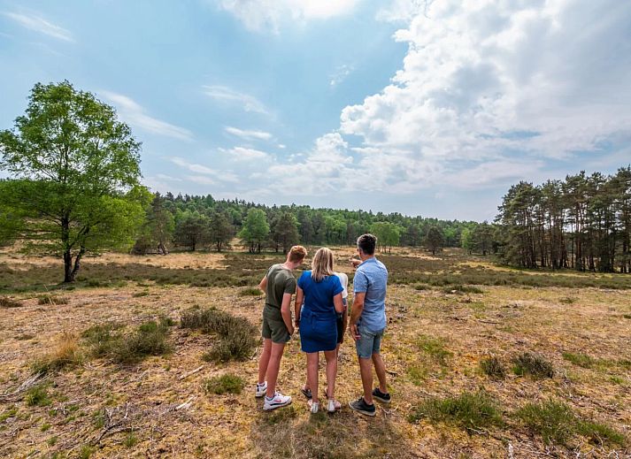 De Hooge Veluwe