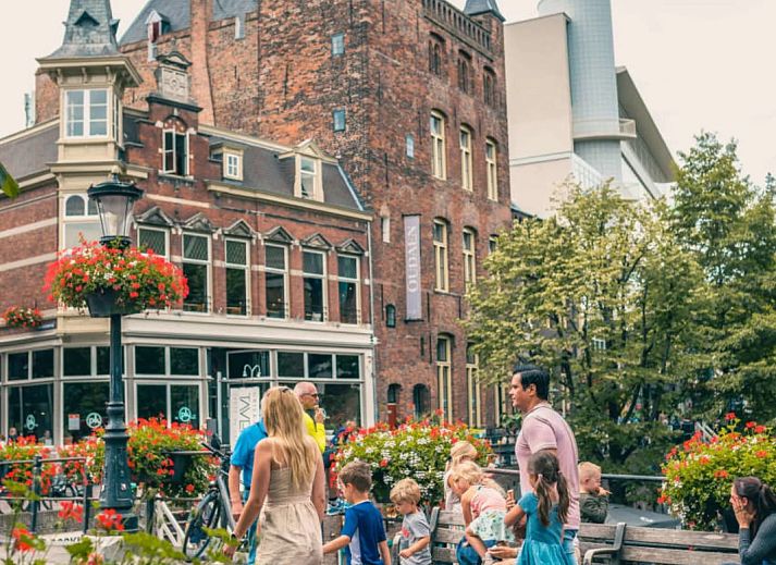 De Utrechtse Heuvelrug