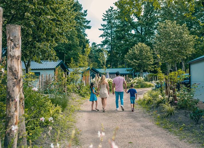 De Utrechtse Heuvelrug