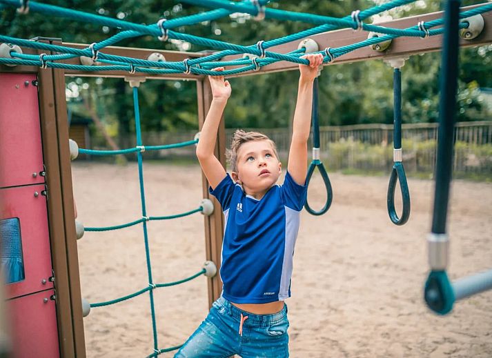 De Utrechtse Heuvelrug