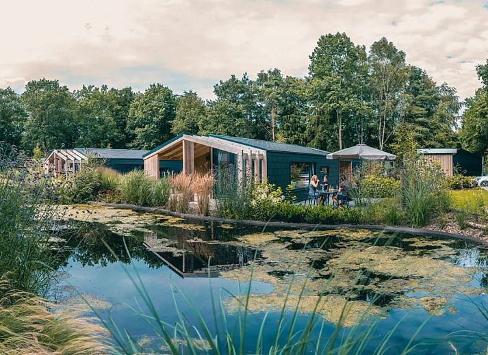 De Utrechtse Heuvelrug