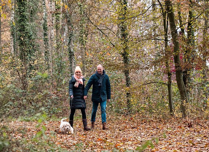 Camping Sevink Molen