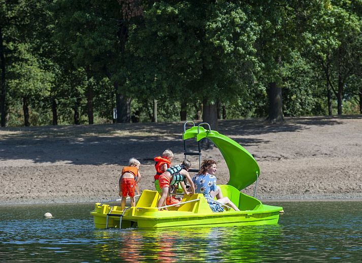 Camping Sevink Molen