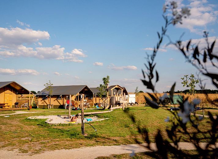 FarmCamps Hoeve Luyterheyde