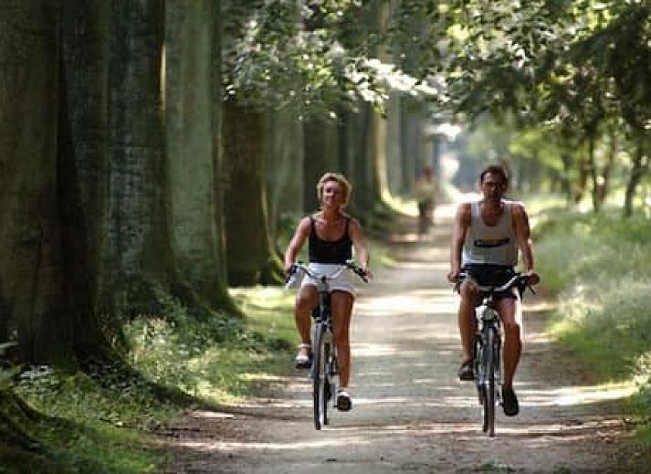 Vakantiepark De Lourenshoeve