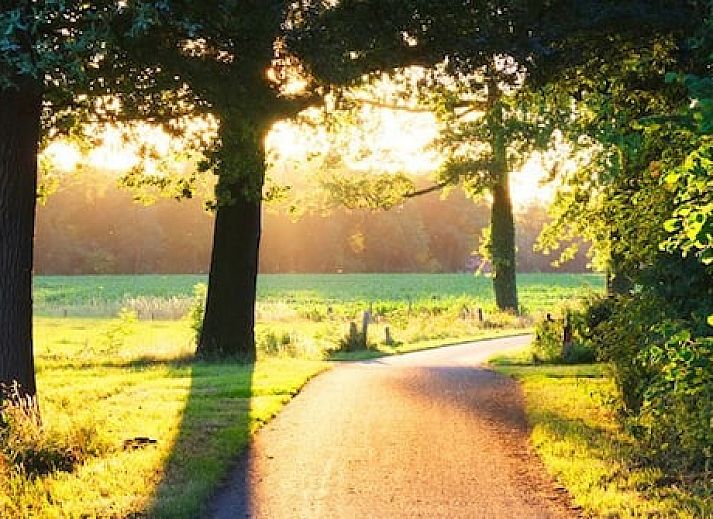 Vakantiepark De Lourenshoeve