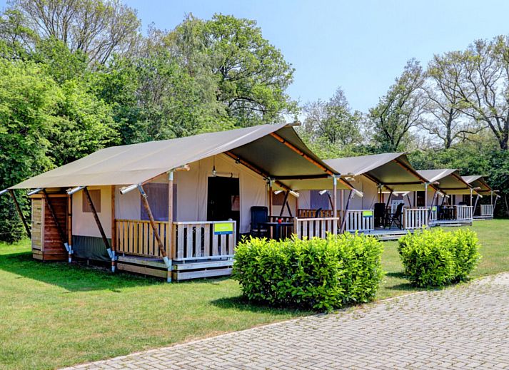 Camping Dal van de Mosbeek