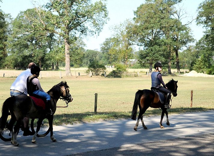Camping Dal van de Mosbeek