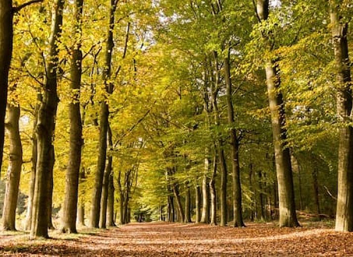 Vakantiepark de Ossenberg