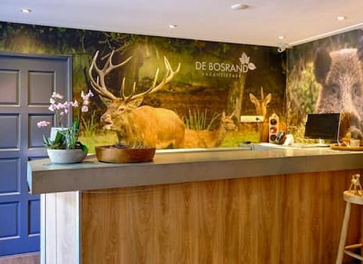 Vakantiepark de Bosrand