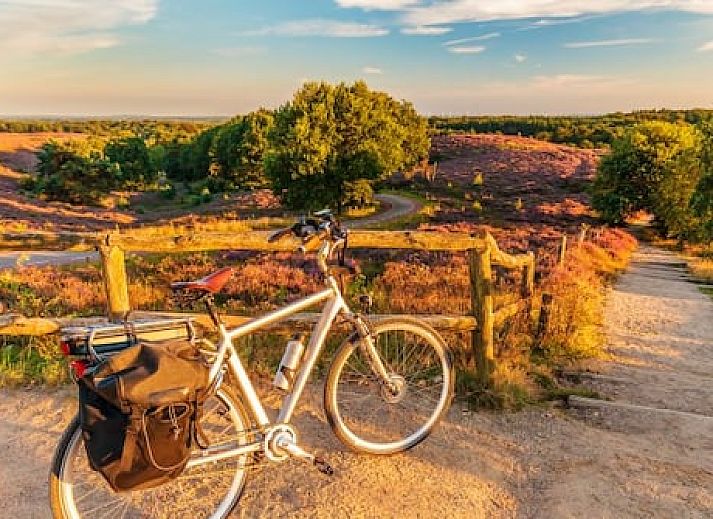 Vakantiepark de Bosrand