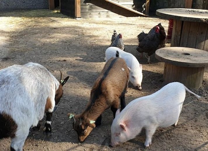 Vakantiepark de Bosrand