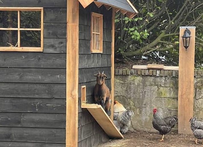 Vakantiepark de Bosrand