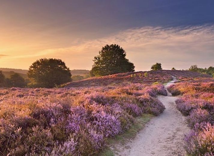 Vakantiepark de Bosrand