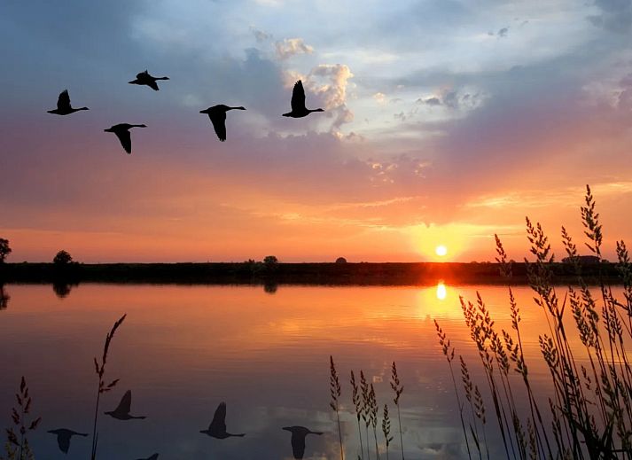 Vakantiepark De Wiedense Meren