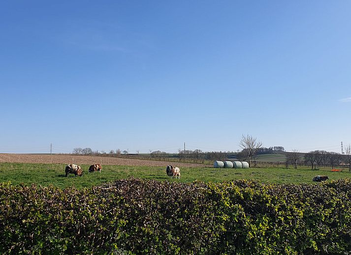 Camping La Dolce Vita