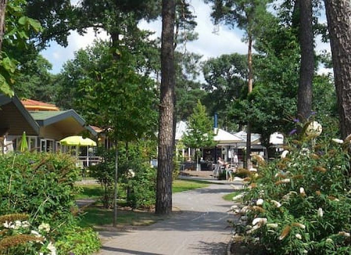Vakantiepark Ackersate