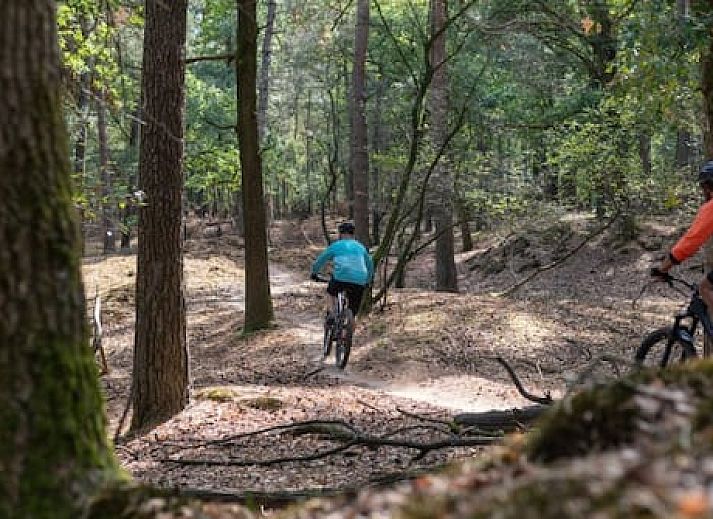 Landgoed 't Wildryck