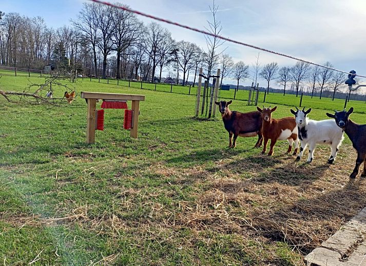 Boerderijcamping het Katreel
