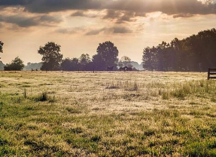 Vakantiepark De Lochemse Berg