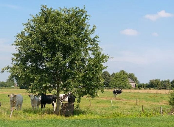Vakantiepark De Lochemse Berg