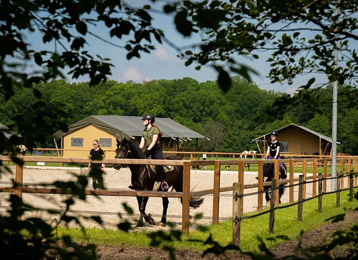 FarmCamps Holzik Stables