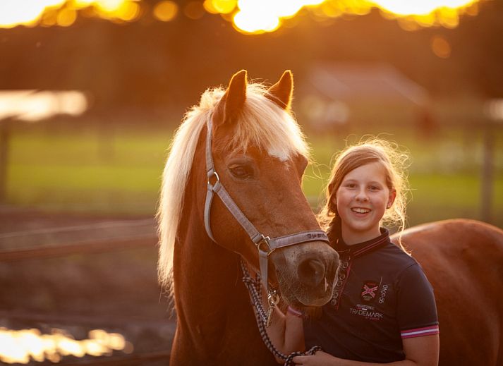 FarmCamps Holzik Stables
