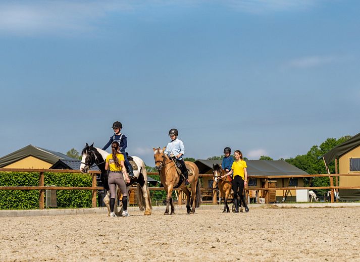 FarmCamps Holzik Stables
