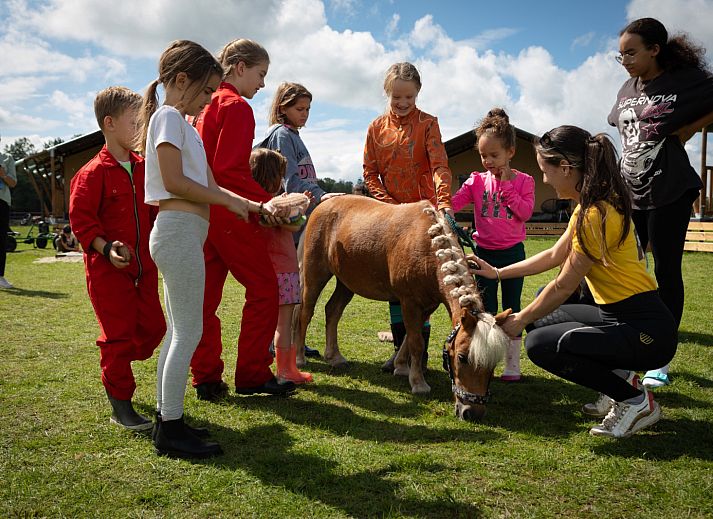 FarmCamps Holzik Stables
