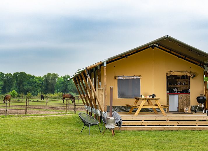 FarmCamps Holzik Stables