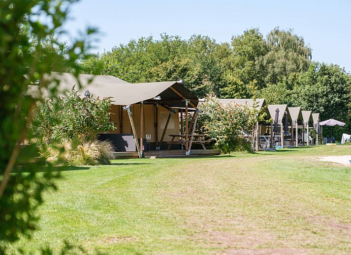 Kampeerdorp de Zandstuve