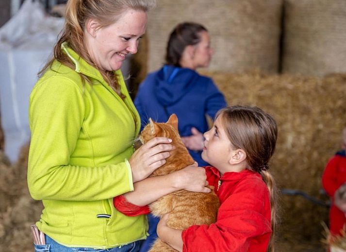 FarmCamps De Buitenhoeve