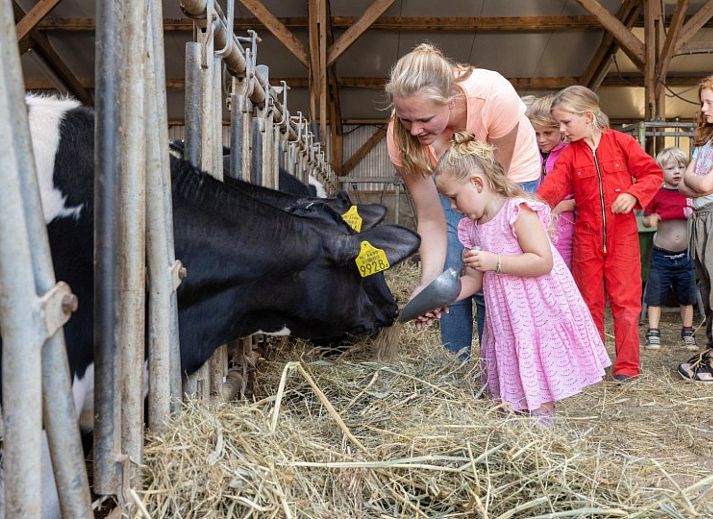 FarmCamps De Buitenhoeve