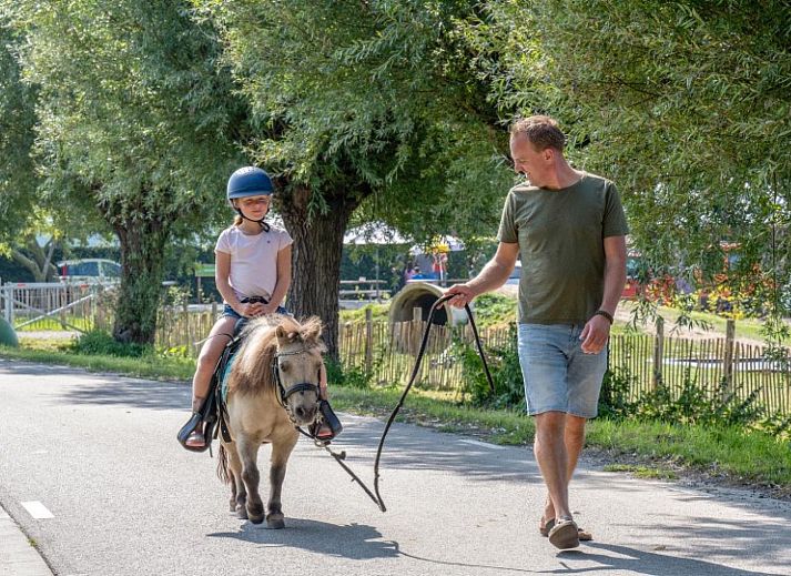 FarmCamps De Buitenhoeve