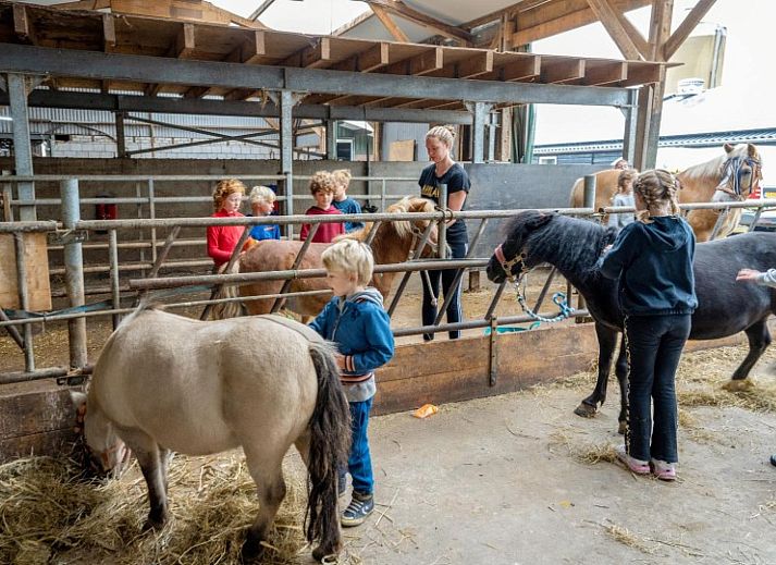 FarmCamps De Buitenhoeve