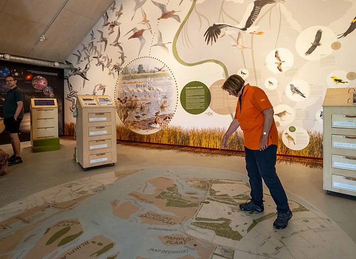 Glamping Lauwersmeer