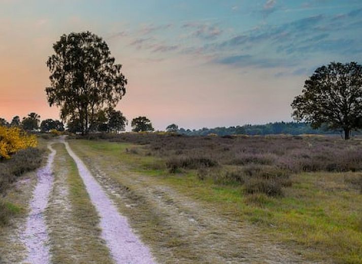 Vakantiepark de Bonte Vlucht