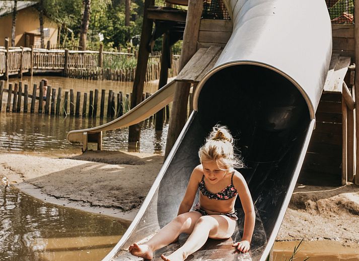 Camping het Horstmannsbos