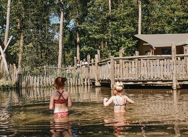 Camping het Horstmannsbos