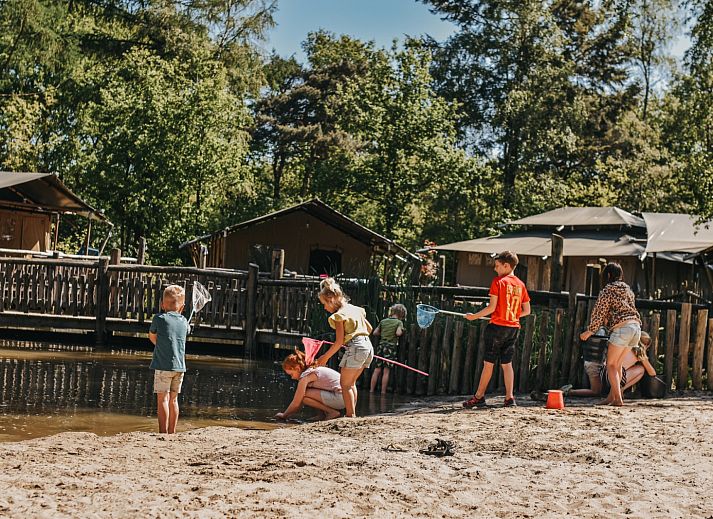 Camping het Horstmannsbos