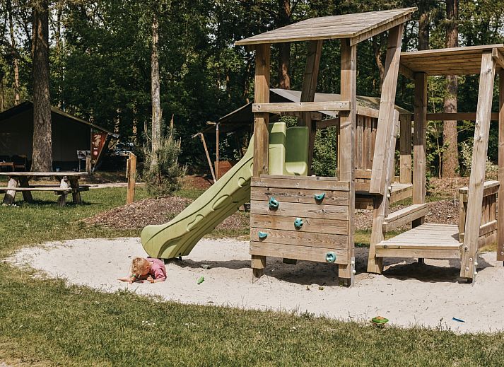 Camping het Horstmannsbos