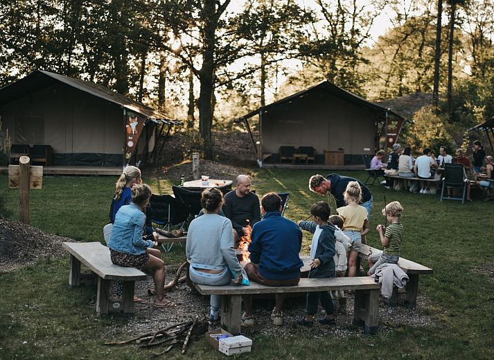 Camping het Horstmannsbos