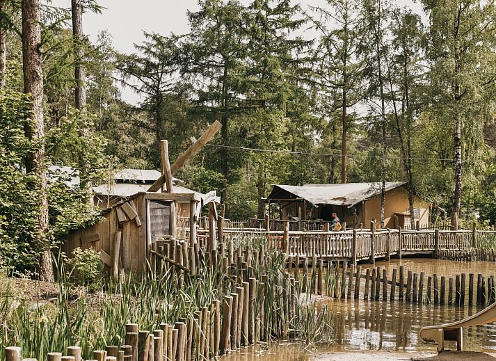 Camping het Horstmannsbos