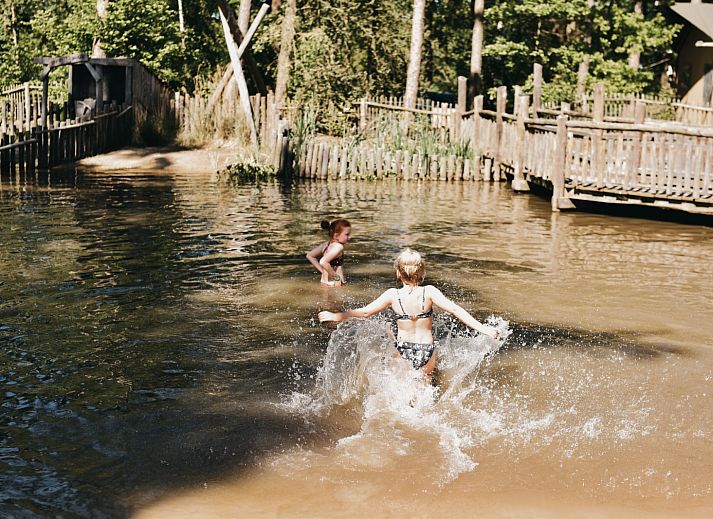 Camping het Horstmannsbos