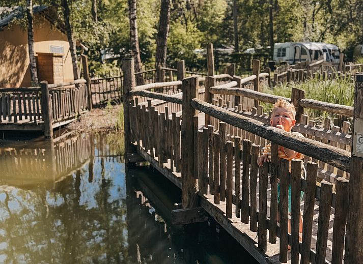 Camping het Horstmannsbos