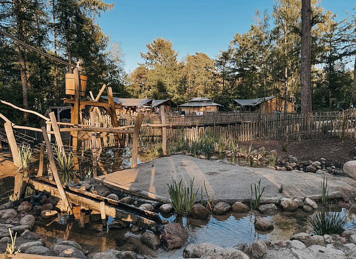 Camping het Horstmannsbos