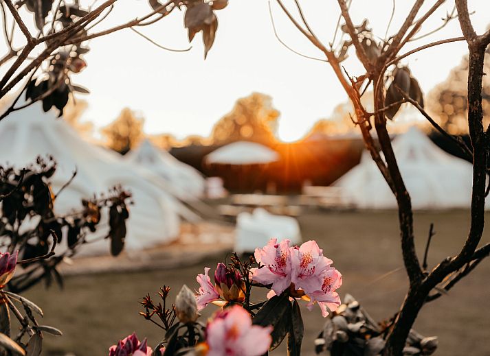 Recreatiepark De Achterste Hoef