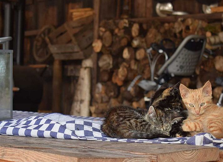 BoerenBed De Kalverweide