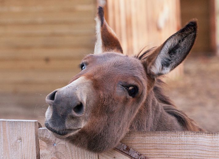 BoerenBed De Kalverweide