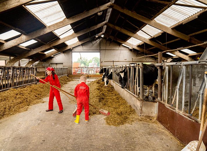 FarmCamps Op de Beemd